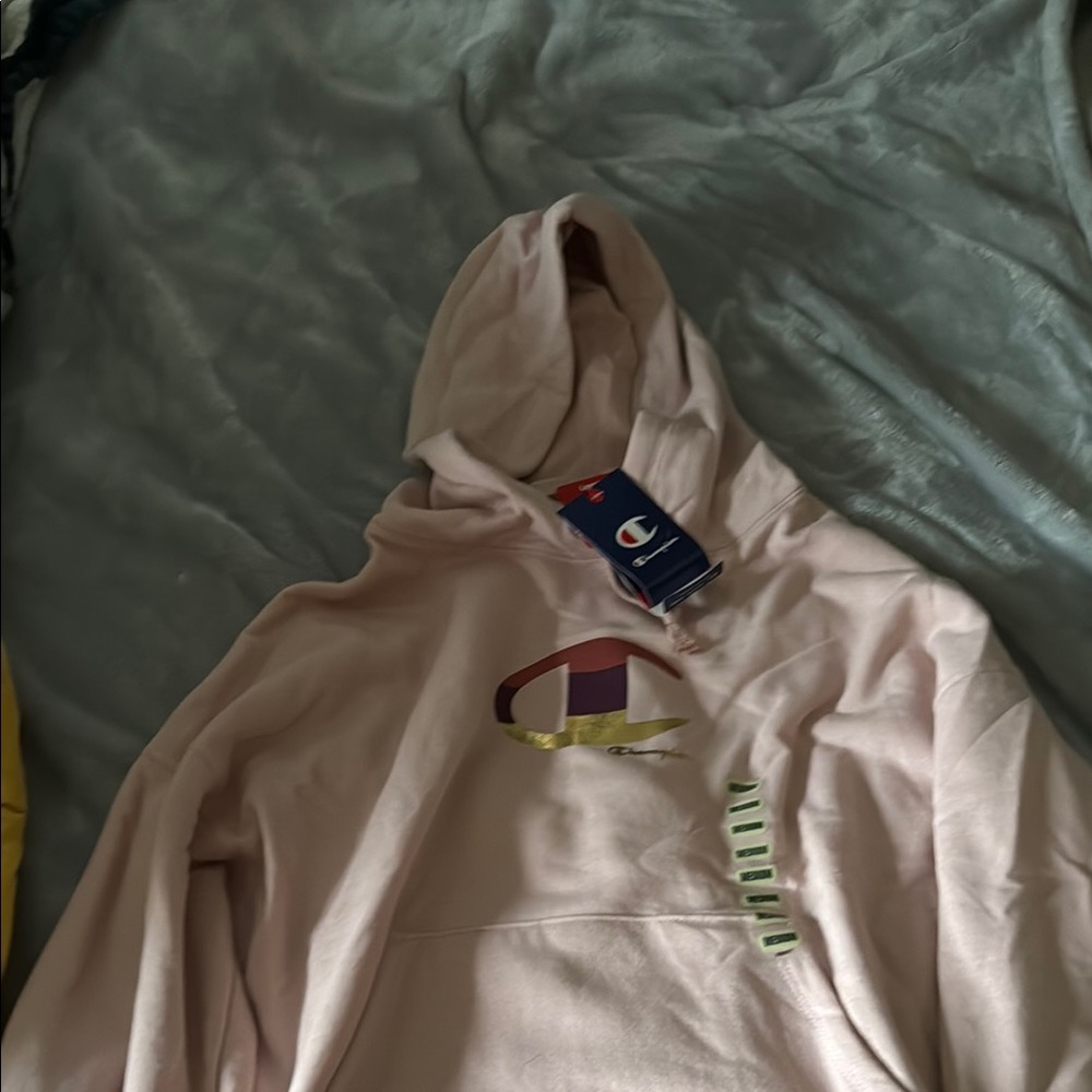 Champion Light Pink Hoodie